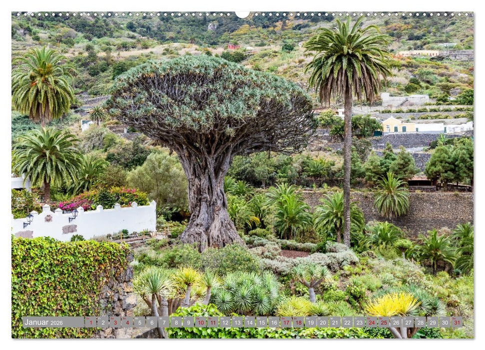 Kanaren - Zauberhafte Vulkaninseln (CALVENDO Premium Wandkalender 2026)