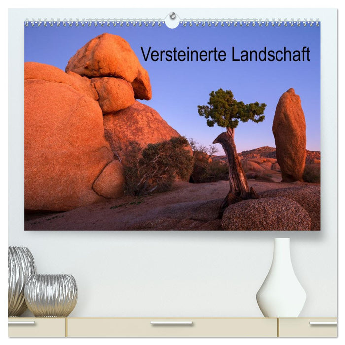 Versteinerte Landschaft (CALVENDO Premium Wandkalender 2026)