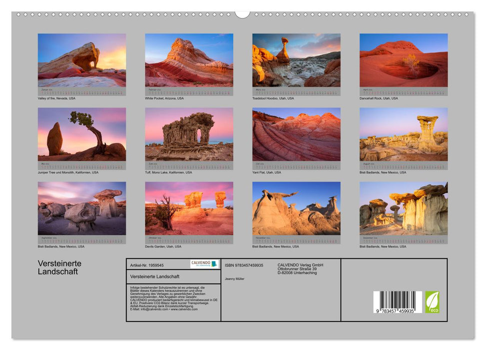 Versteinerte Landschaft (CALVENDO Premium Wandkalender 2026)