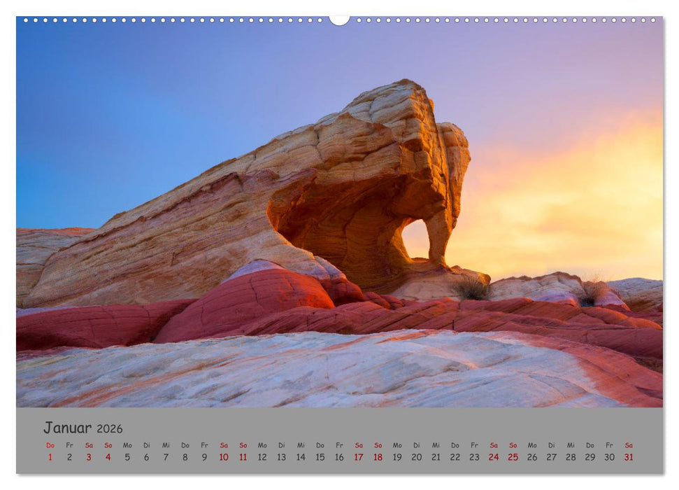 Versteinerte Landschaft (CALVENDO Premium Wandkalender 2026)