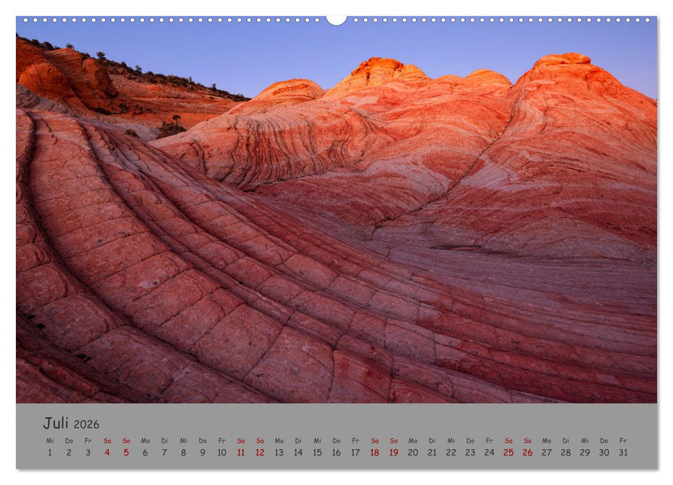 Versteinerte Landschaft (CALVENDO Premium Wandkalender 2026)