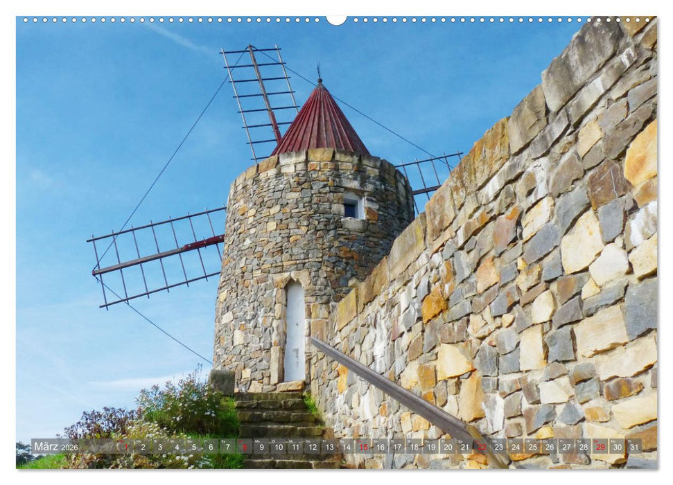 Gifhorn - Kleine Reise durch die Welt der Mühlen (CALVENDO Premium Wandkalender 2026)