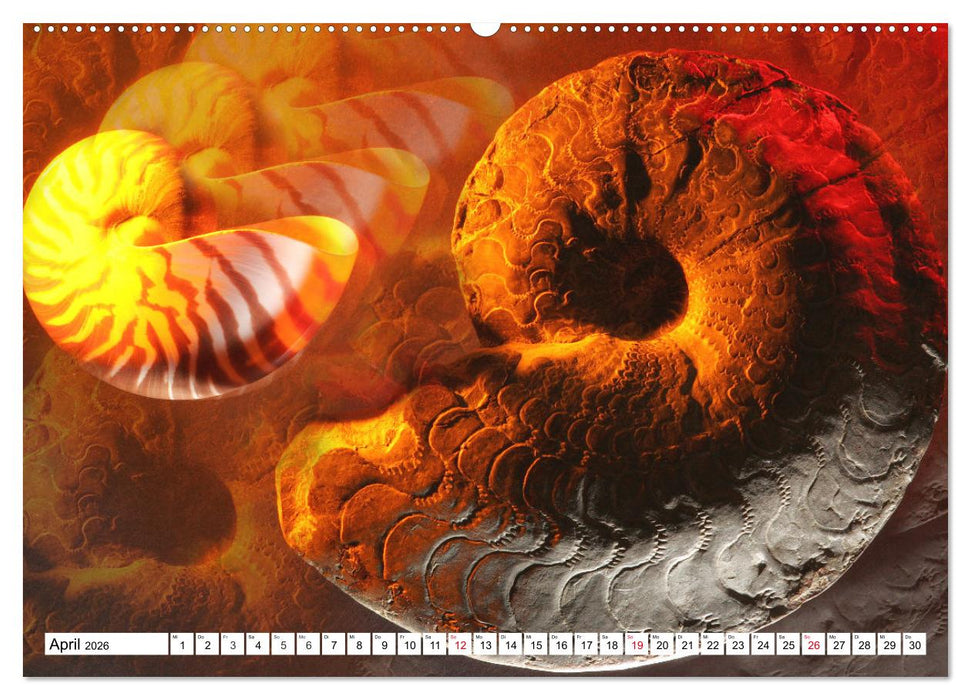 Versteinerte Welt (CALVENDO Premium Wandkalender 2026)