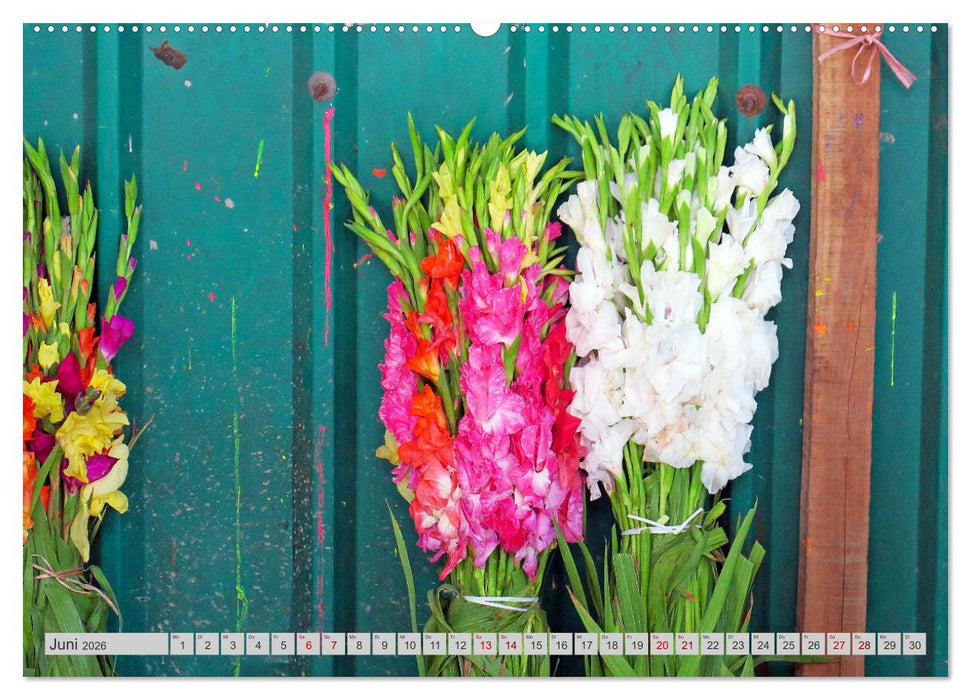 Farbenfrohes Bangladesch (CALVENDO Premium Wandkalender 2026)