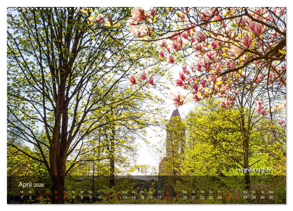 stiftsruine zu bad hersfeld (CALVENDO Premium Wandkalender 2026)