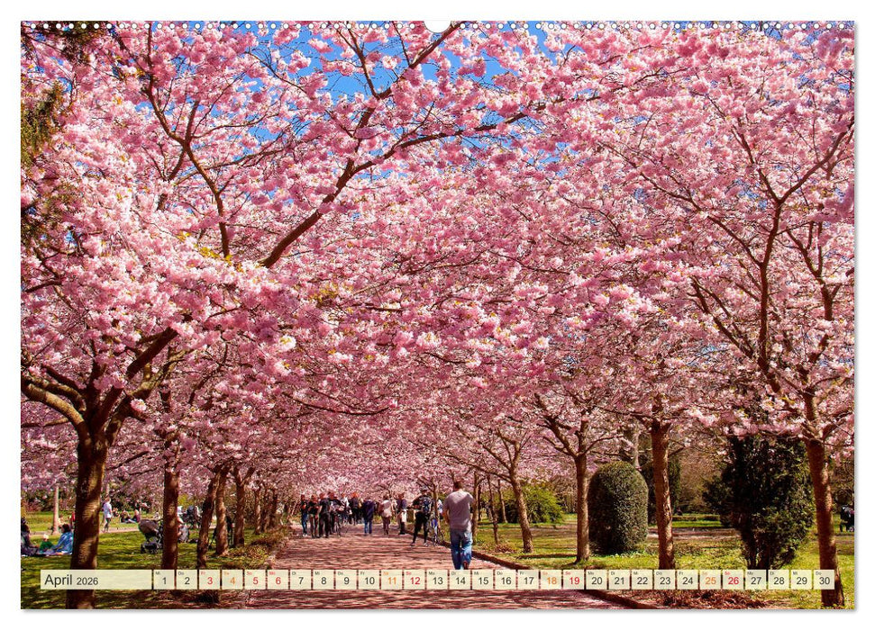 Traumwege entdecken (CALVENDO Premium Wandkalender 2026)