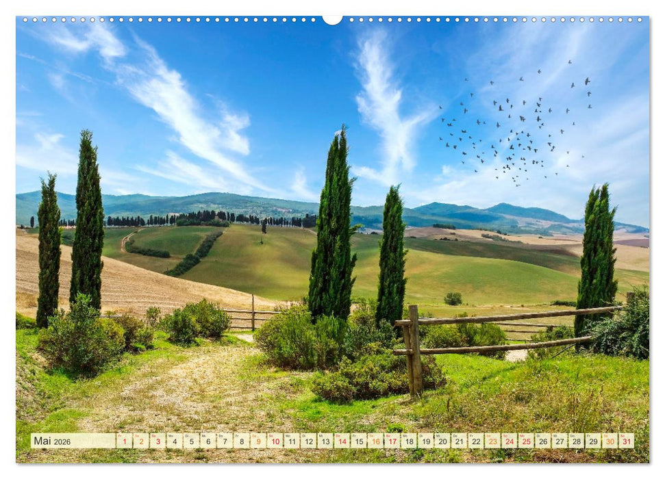 Traumwege entdecken (CALVENDO Premium Wandkalender 2026)