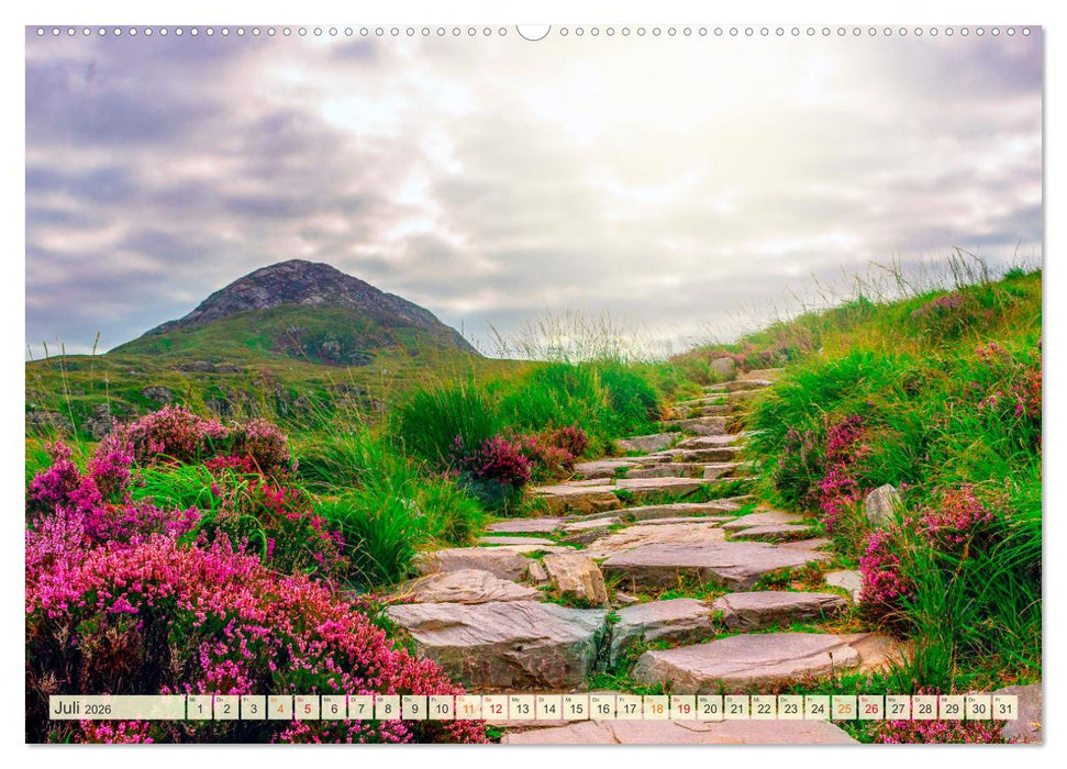 Traumwege entdecken (CALVENDO Premium Wandkalender 2026)