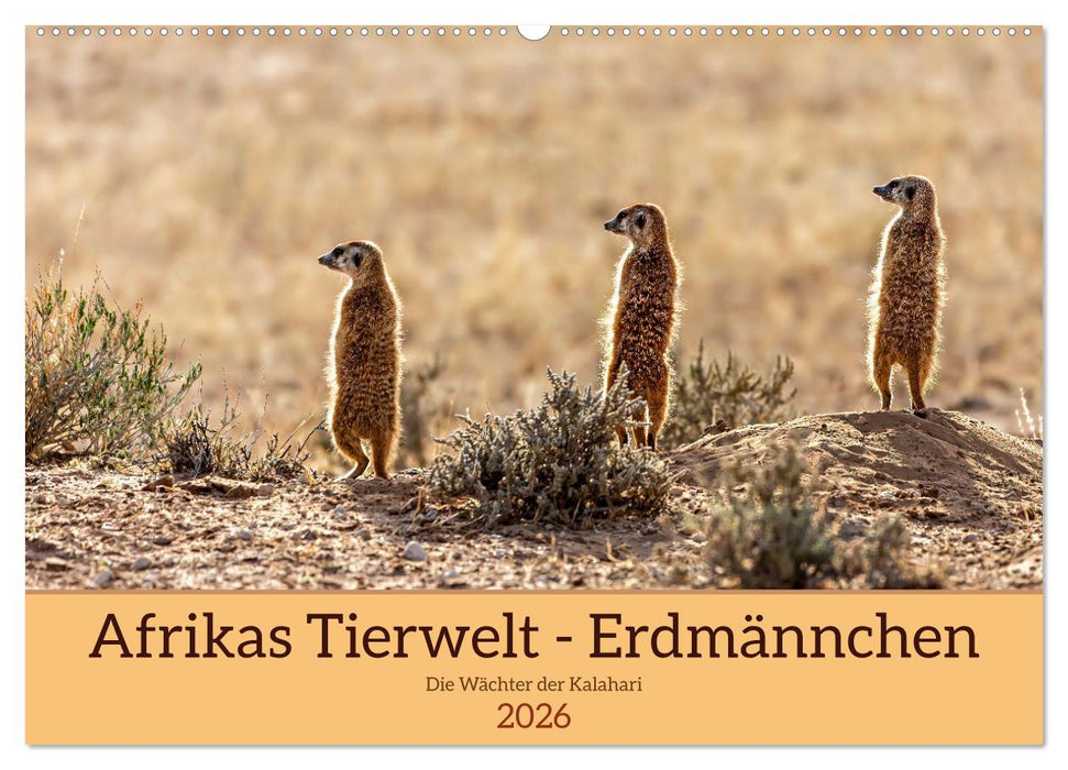 Afrikas Tierwelt - Erdmännchen (CALVENDO Wandkalender 2026)