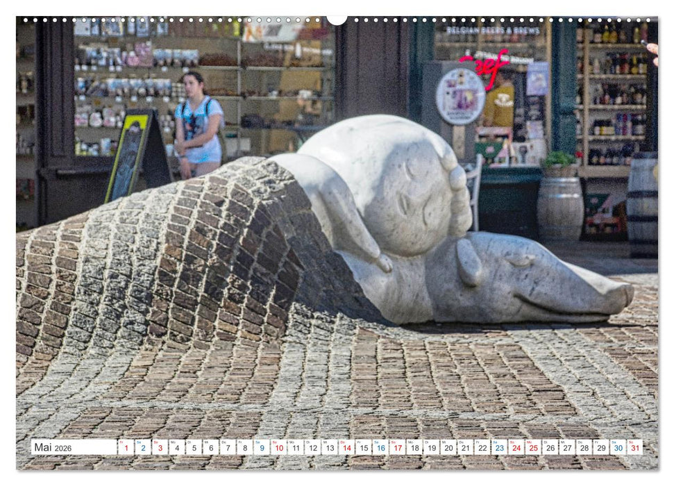 Antwerpen - sehen und erleben (CALVENDO Premium Wandkalender 2026)