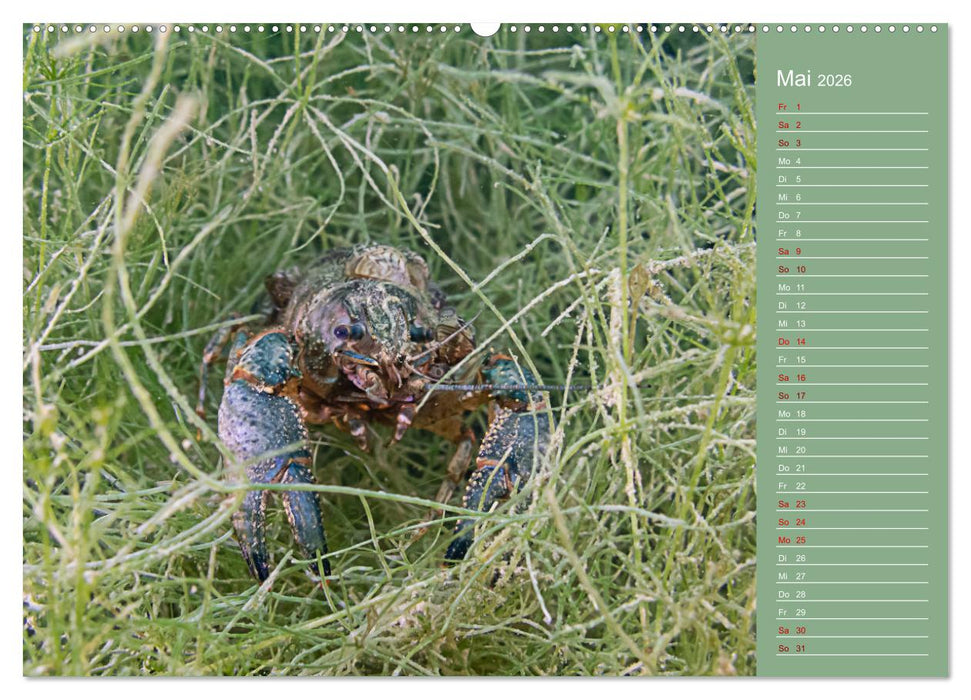 Baggersee -hautah (CALVENDO Premium Wandkalender 2026)