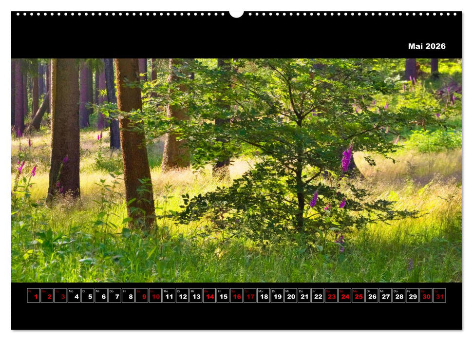 Europa im Breitbild (CALVENDO Premium Wandkalender 2026)