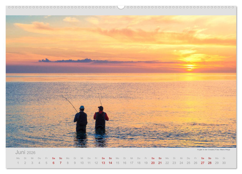 PETRI HEIL - Das Netz voller Fische (CALVENDO Premium Wandkalender 2026)