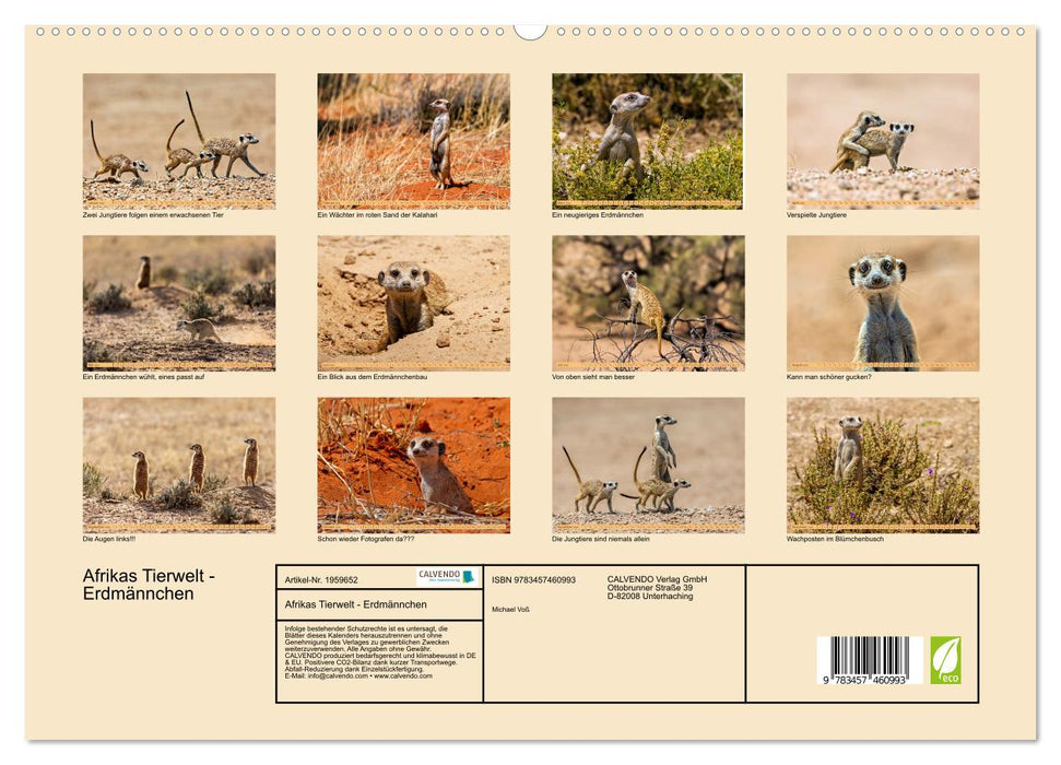 Afrikas Tierwelt - Erdmännchen (CALVENDO Premium Wandkalender 2026)