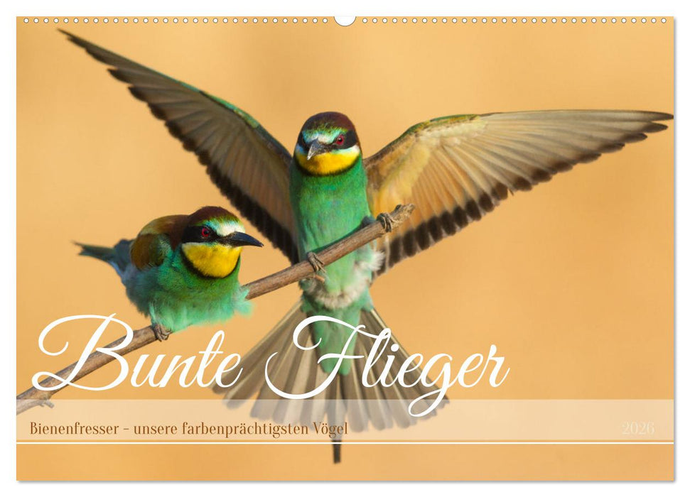 Bunte Flieger (CALVENDO Wandkalender 2026)
