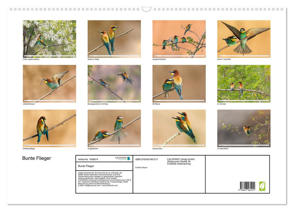 Bunte Flieger (CALVENDO Wandkalender 2026)