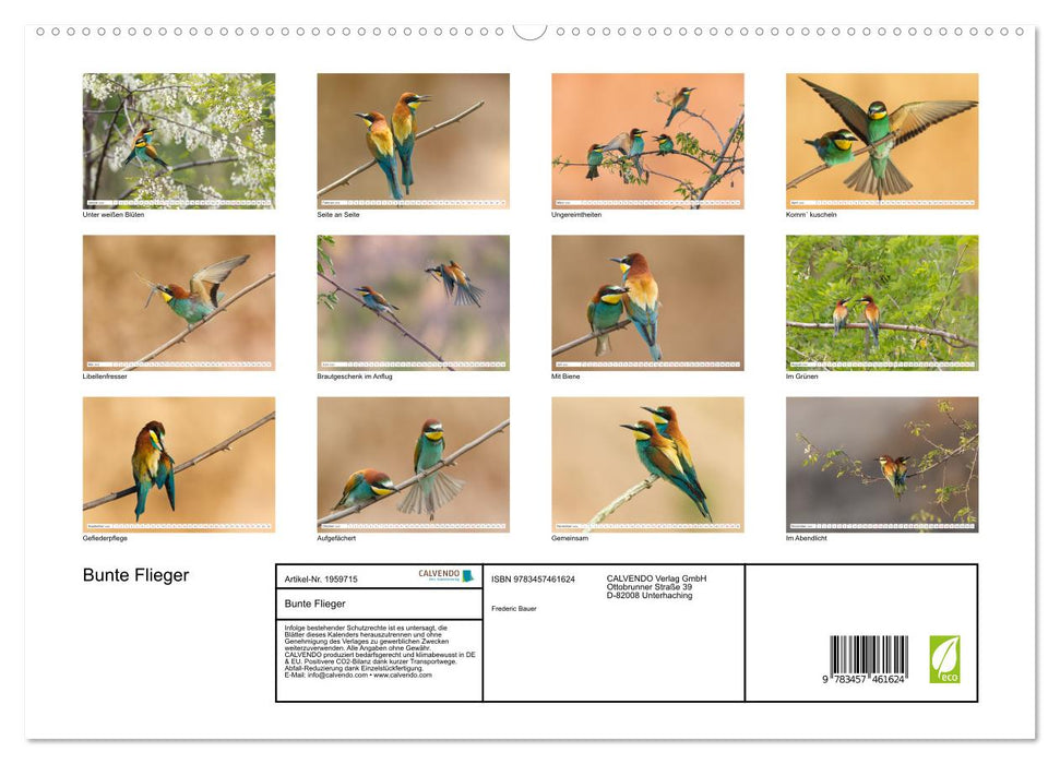 Bunte Flieger (CALVENDO Premium Wandkalender 2026)