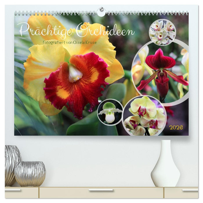 Prächtige Orchideen (CALVENDO Premium Wandkalender 2026)