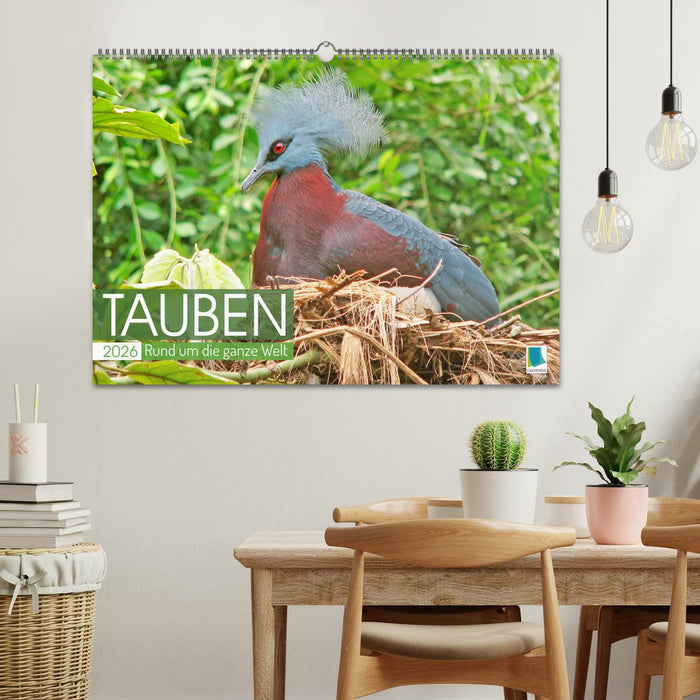 Tauben rund um die ganze Welt (CALVENDO Wandkalender 2026)