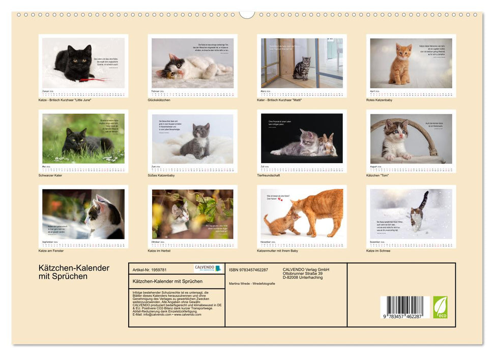 Kätzchen-Kalender mit Sprüchen (CALVENDO Premium Wandkalender 2026)