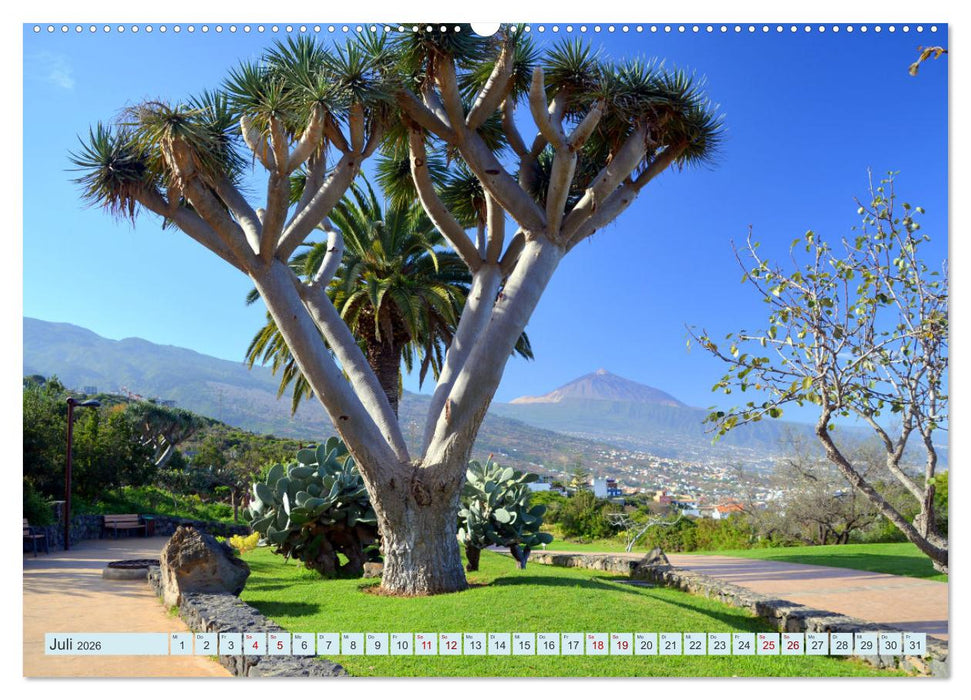 Teneriffa - Insel der Glückseligen (CALVENDO Premium Wandkalender 2026)