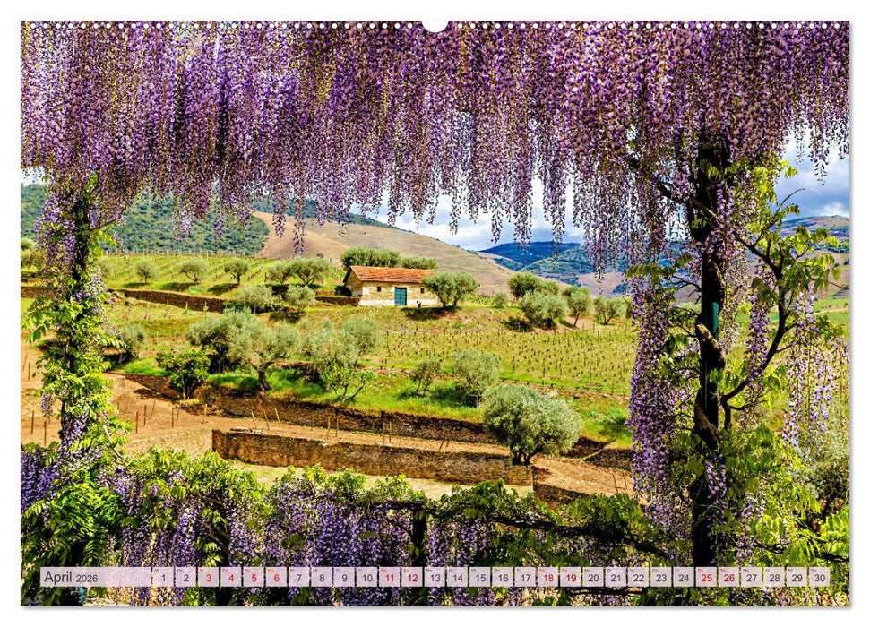 Von Porto bis an die Algarve (CALVENDO Wandkalender 2026)