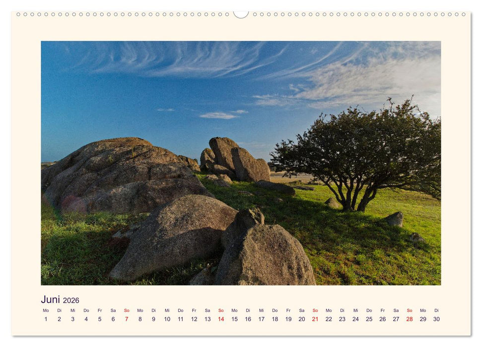 Menhire der Bretagne (CALVENDO Premium Wandkalender 2026)
