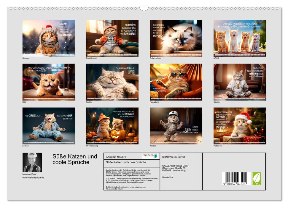 Süße Katzen und coole Sprüche (CALVENDO Premium Wandkalender 2026)