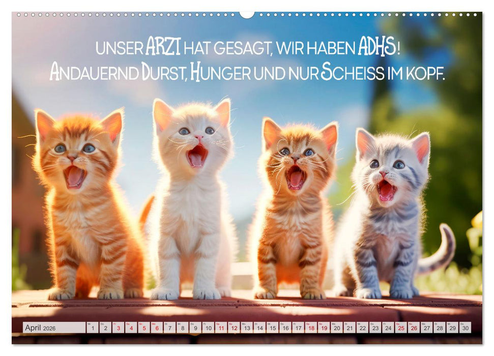 Süße Katzen und coole Sprüche (CALVENDO Premium Wandkalender 2026)