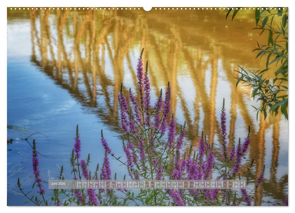 Lahnstein, wo die Lahn in den Rhein fließt (CALVENDO Premium Wandkalender 2026)