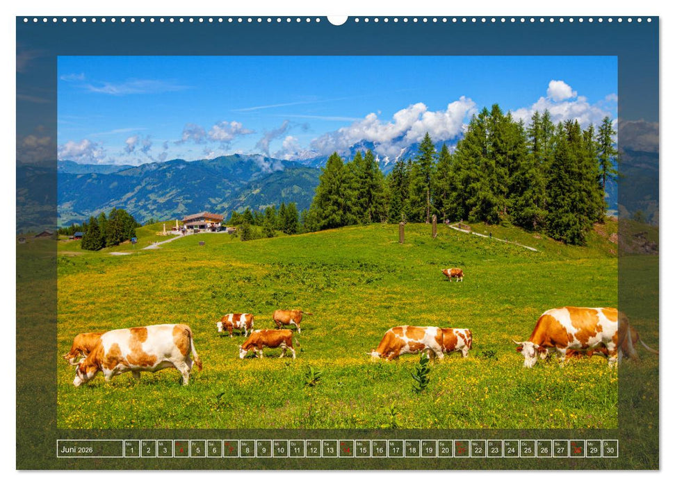 St.Johann im Pongau (CALVENDO Wandkalender 2026)