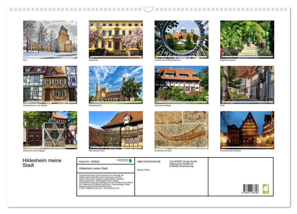 Hildesheim meine Stadt (CALVENDO Wandkalender 2026)