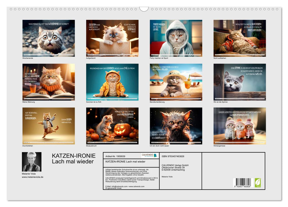 KATZEN-IRONIE Lach mal wieder (CALVENDO Wandkalender 2026)