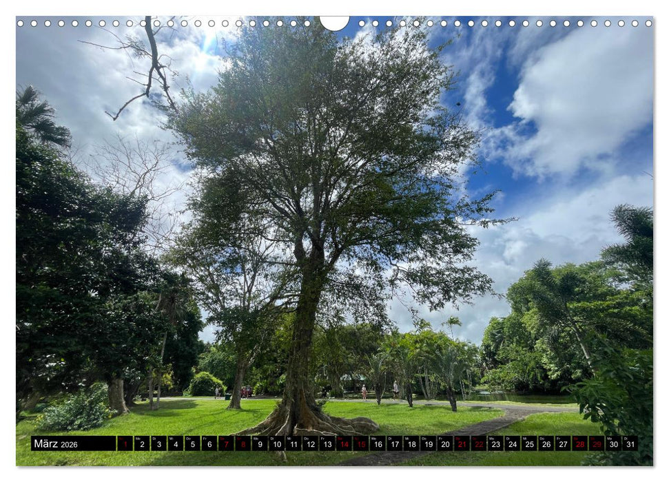 Mauritius Paradies im Indischen Ozean (CALVENDO Wandkalender 2026)