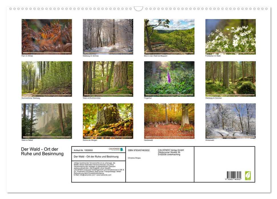 Der Wald - Ort der Ruhe und Besinnung (CALVENDO Wandkalender 2026)