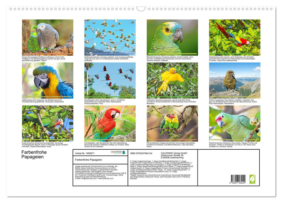 Farbenfrohe Papageien (CALVENDO Wandkalender 2026)
