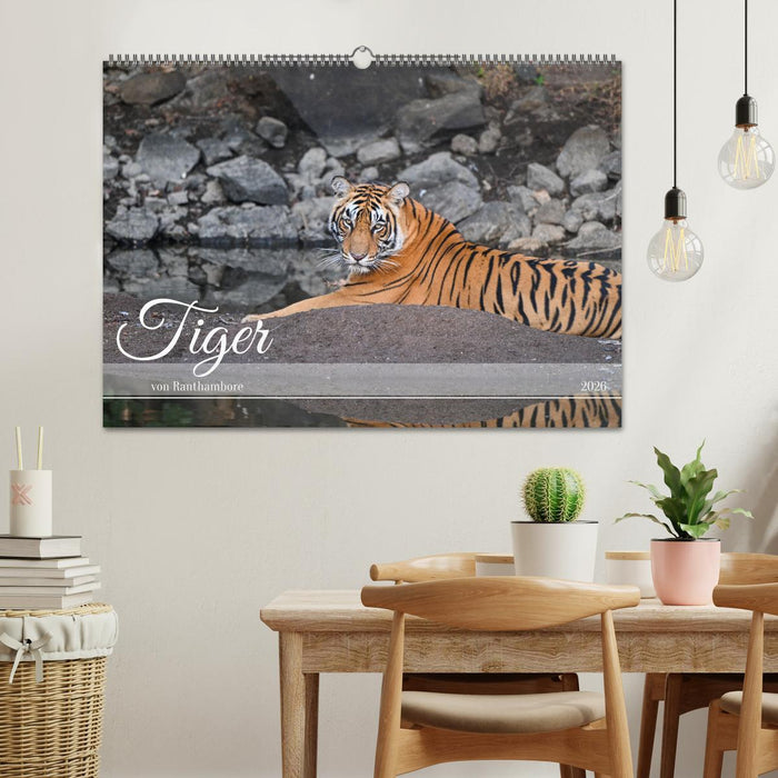 Tiger von Ranthambore (CALVENDO Wandkalender 2026)