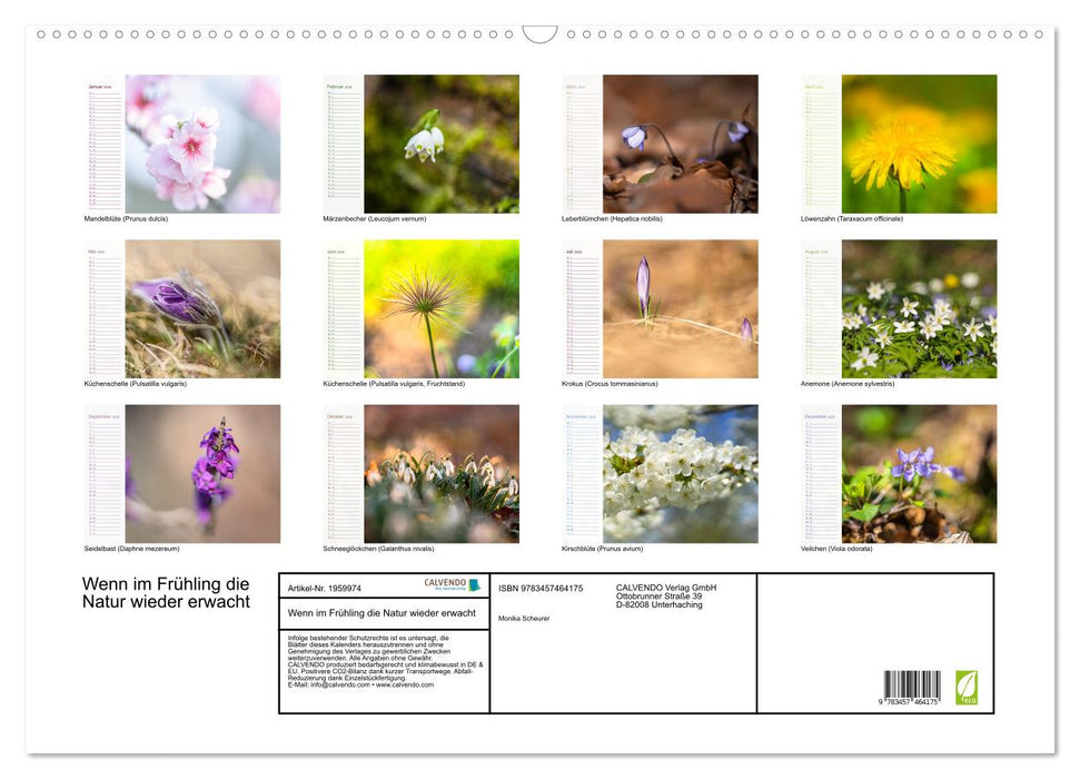 Wenn im Frühling die Natur wieder erwacht (CALVENDO Wandkalender 2026)