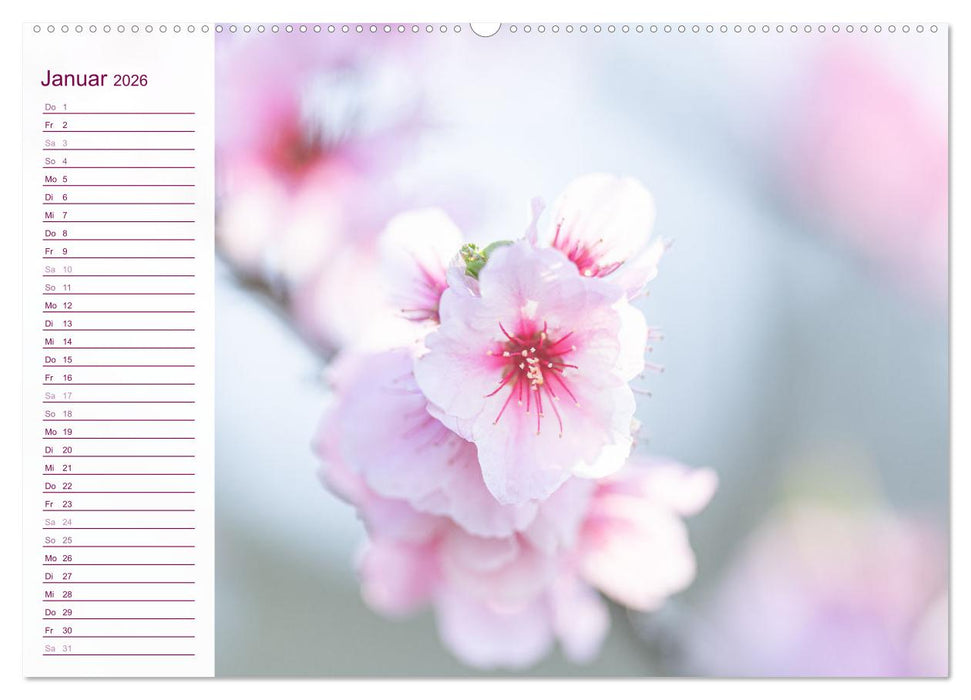 Wenn im Frühling die Natur wieder erwacht (CALVENDO Wandkalender 2026)