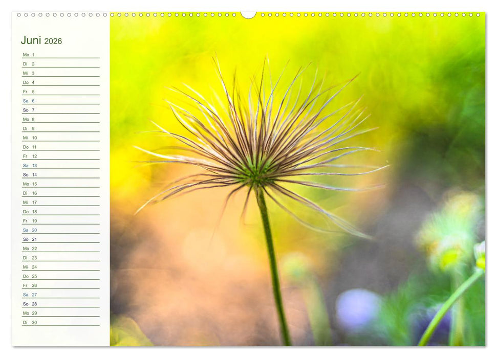 Wenn im Frühling die Natur wieder erwacht (CALVENDO Wandkalender 2026)
