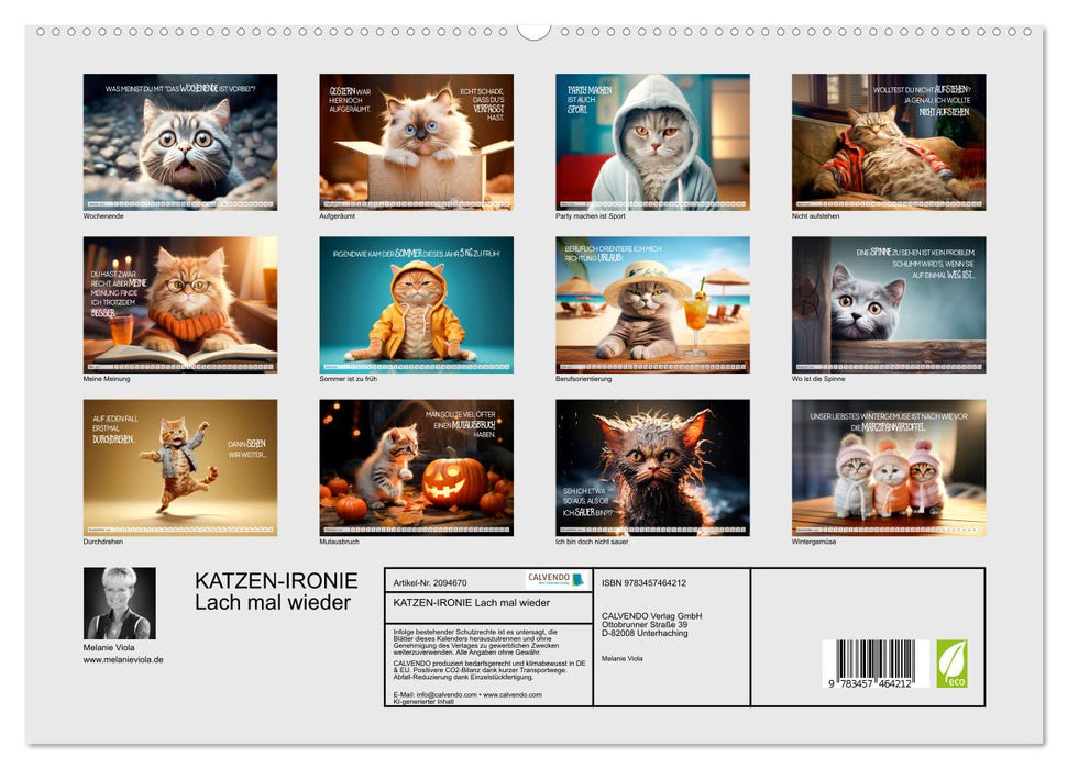 KATZEN-IRONIE Lach mal wieder (CALVENDO Premium Wandkalender 2026)