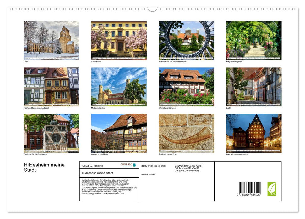 Hildesheim meine Stadt (CALVENDO Premium Wandkalender 2026)