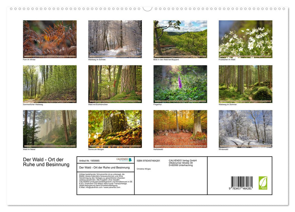 Der Wald - Ort der Ruhe und Besinnung (CALVENDO Premium Wandkalender 2026)