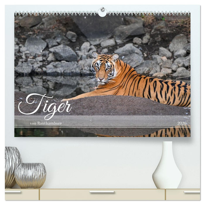 Tiger von Ranthambore (CALVENDO Premium Wandkalender 2026)