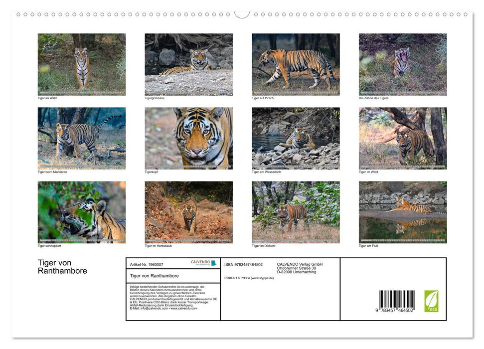 Tiger von Ranthambore (CALVENDO Premium Wandkalender 2026)