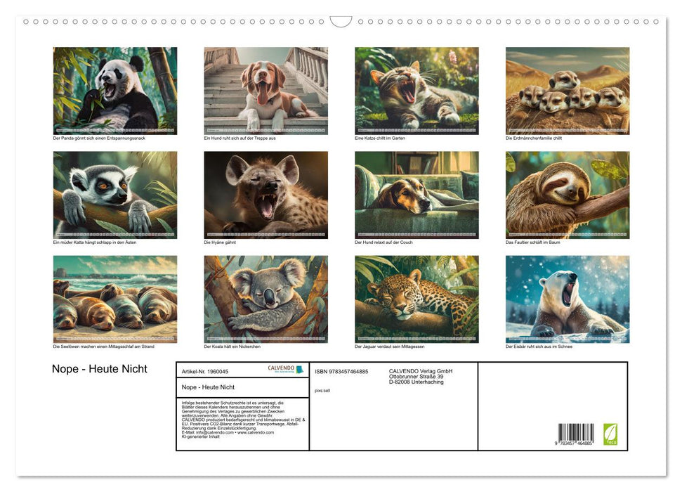 Nope - Heute Nicht (CALVENDO Wandkalender 2026)