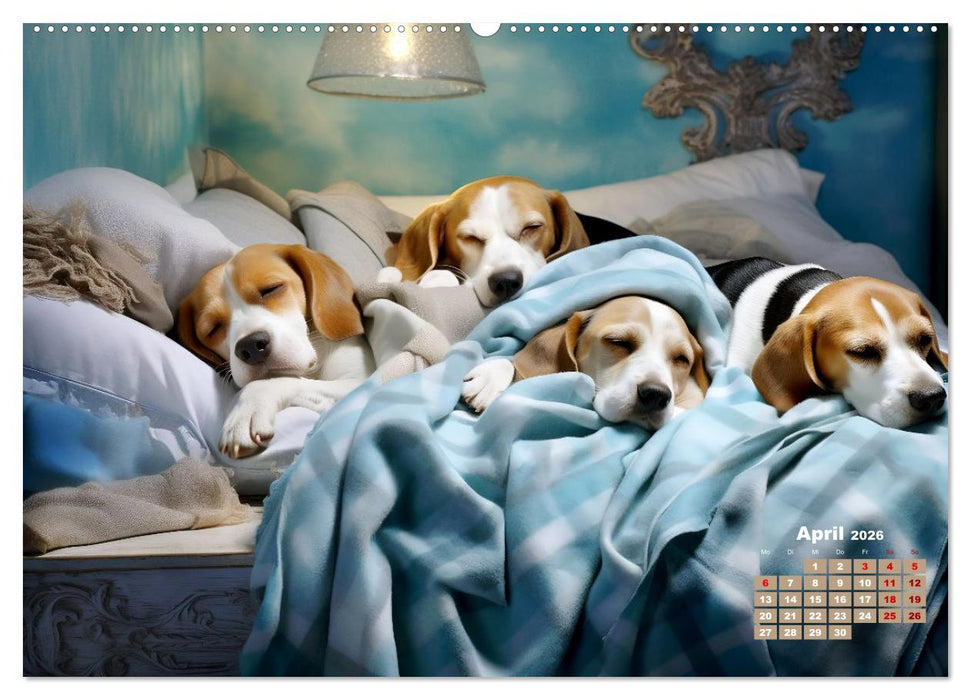 Lieblingsschlafplätze (CALVENDO Wandkalender 2026)