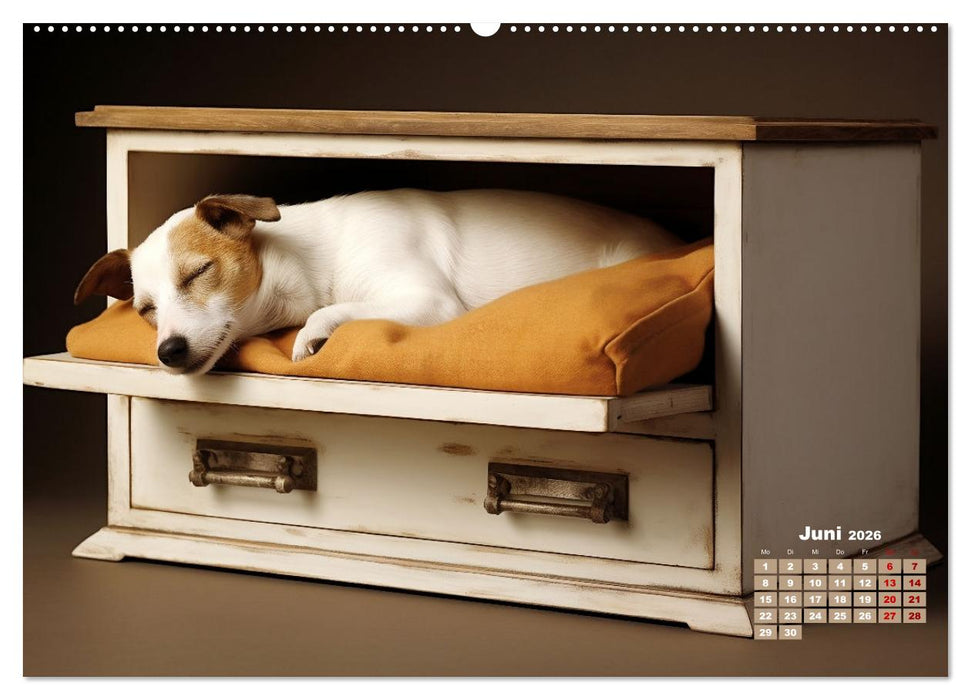 Lieblingsschlafplätze (CALVENDO Wandkalender 2026)