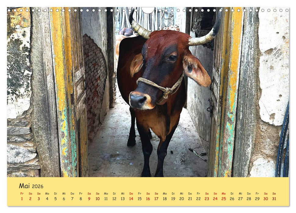 Udaipur die Perle Rajastans (CALVENDO Wandkalender 2026)