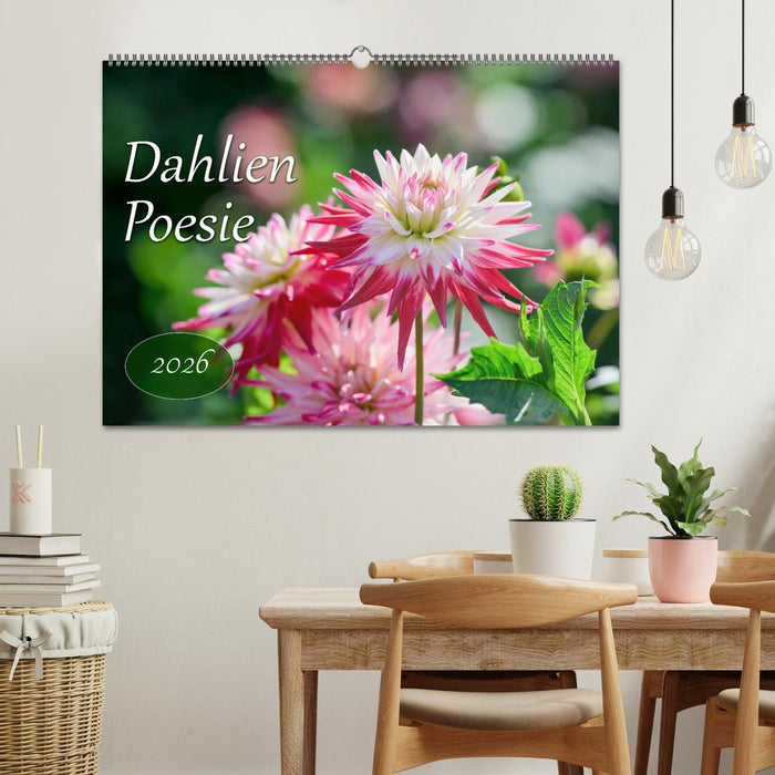 Dahlien Poesie (CALVENDO Wandkalender 2026)